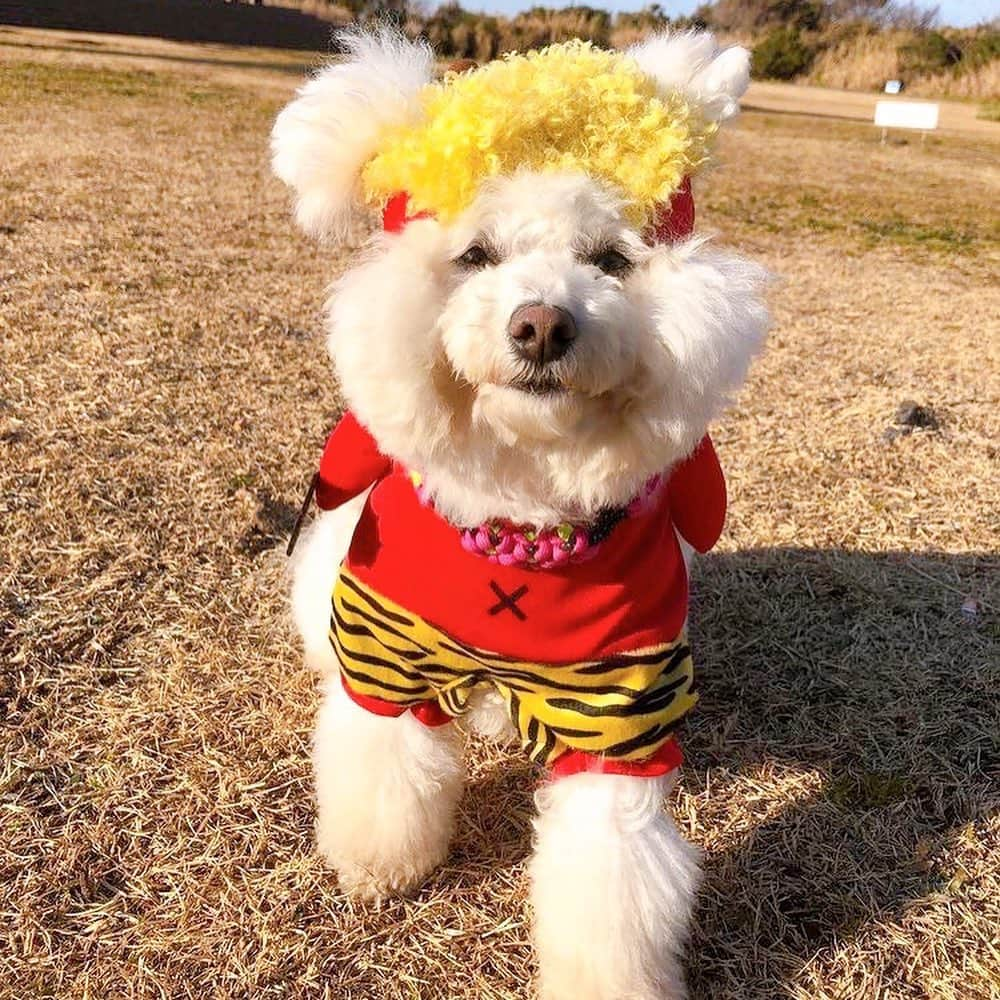 宇内梨沙さんのインスタグラム写真 - (宇内梨沙Instagram)「節分の日  鬼は外〜福は内〜犬も内〜🐶♪」2月3日 16時09分 - risaunai