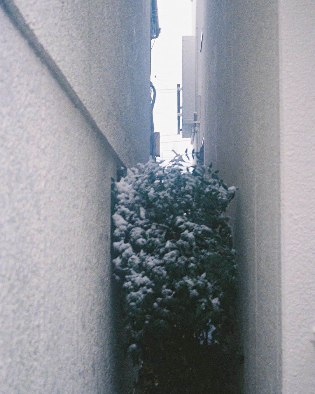 勝田里奈さんのインスタグラム写真 - (勝田里奈Instagram)「雪の日☃️」2月3日 17時53分 - rinakatsuta