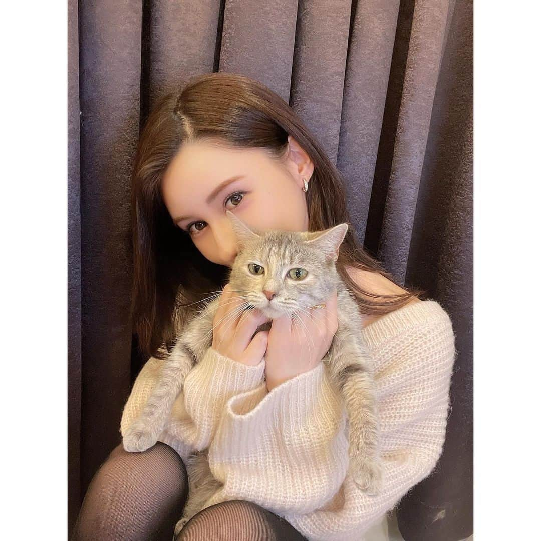 ダレノガレ明美さんのインスタグラム写真 - (ダレノガレ明美Instagram)「Amazon Prime Video（アマプラ）で 韓流ドラマ 「今、別れの途中です」を 観始めましたぁ‼️ 今大人気のチャン・ギヨンさんと、 韓国のトップ女優ソン・ヘギョさんの 共演する本格ラブストーリー🥺  ファッションメーカーでチーム長 として働くキャリアウーマンの主人公は、カッコよくて綺麗で、 女性としてすごく憧れる✨ 彼女は今、まさに 「過去の恋を終わらせてる途中」 なんだけど、 そんな時にファッション専門の フォトグラファーとして活躍する男性に心惹かれて… 嘘でしょ！ どうなっちゃうの⁇ 2人の恋の行方は⁇ って、先が気になってどんどん次が観たくなる‼️  みんなもアマプラでおうち時間を楽しもう！ 私も猫ちゃんと観てるよ🐱 #지금헤어지는중입니다 #アマプラ #ソンヘギョ #Amazonプライム #송혜교 #韓流 #韓国ドラマ #チャンギヨン #今別れの途中です  #pr #韓ドラ #アマゾンプライムビデオ #장기용」2月3日 18時51分 - darenogare.akemi