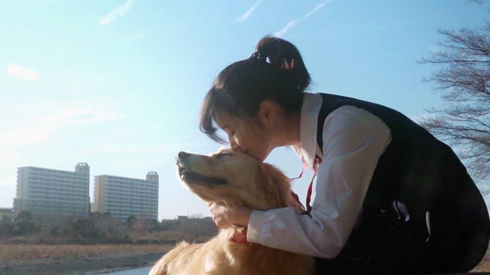 片岡凜さんのインスタグラム写真 - (片岡凜Instagram)「優里さんの楽曲「レオ」のpvに出演させて頂きました。」2月3日 22時13分 - _rimgramm__