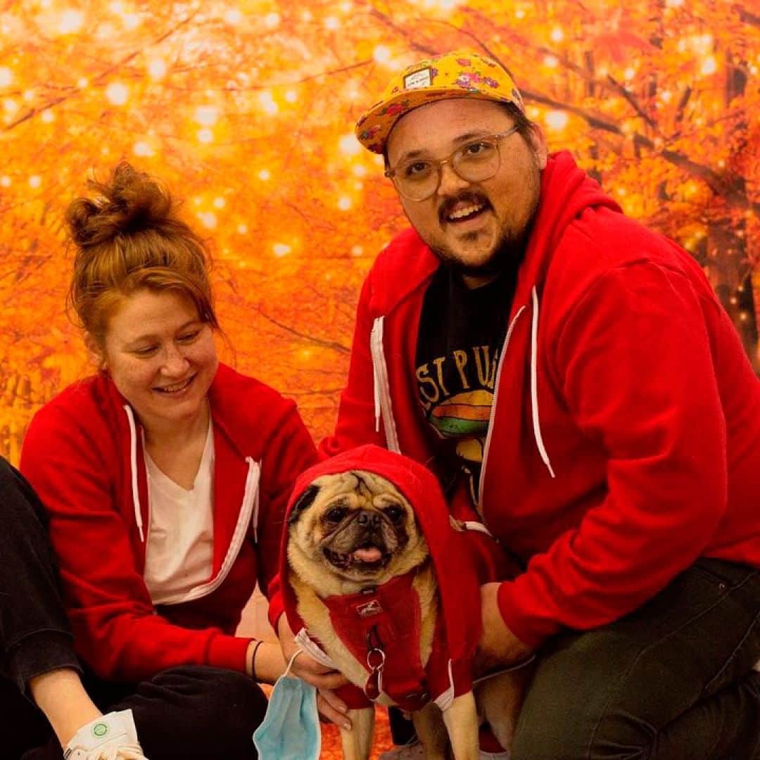 American Apparelのインスタグラム：「The @thepugwalle family are so doggone comfy in our Flex Fleece Zip Hoodie.」