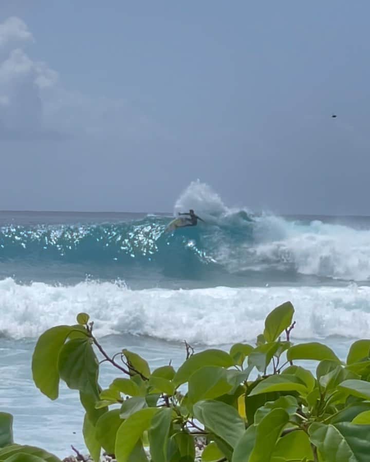 ジェレミー・フローレスのインスタグラム：「Did i get the score ? 🤣. . iPhone clip by @tahitisurfexperience with the boyz #AllDaySurf #Vibes」