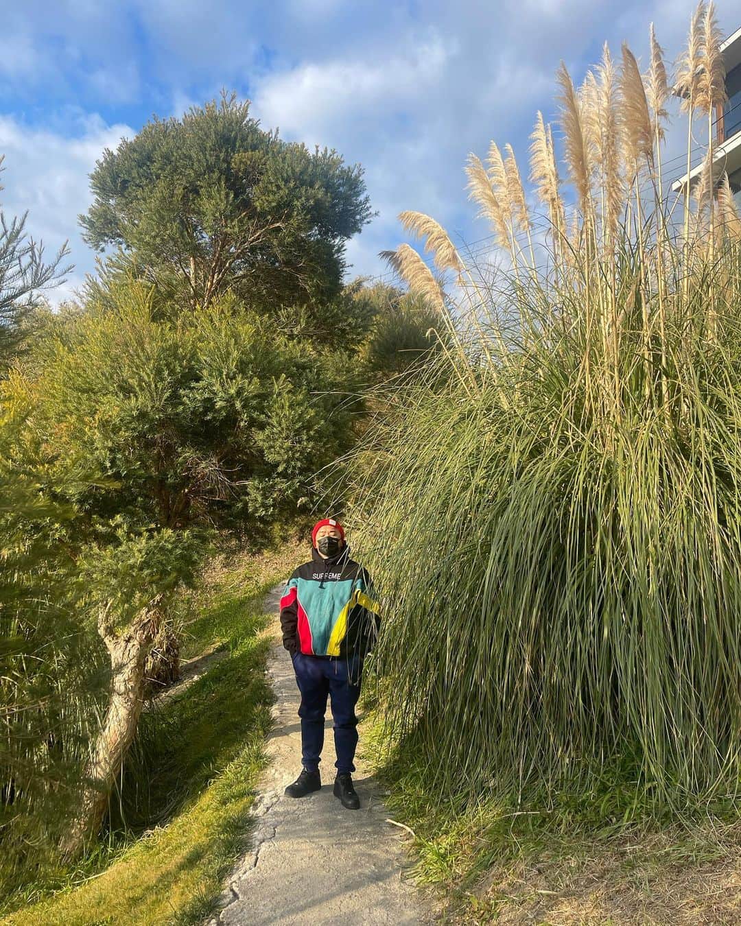 熊谷隆志さんのインスタグラム写真 - (熊谷隆志Instagram)「pampas grass  と　　わたし」2月4日 8時08分 - takashikumagai_official