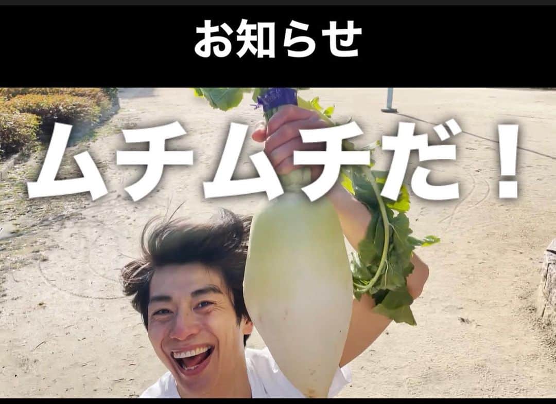 のインスタグラム：「\タイアップ決定🎊/  ニコニコダッシュの歌が、MBSテレビ 木曜 23:56-翌0:53に放送されている『かまいたちの知らんけど 』の 2月度のエンディングテーマになっております‼️ TVerでの見逃し配信もあるので是非チェックしてみて下さい😄」