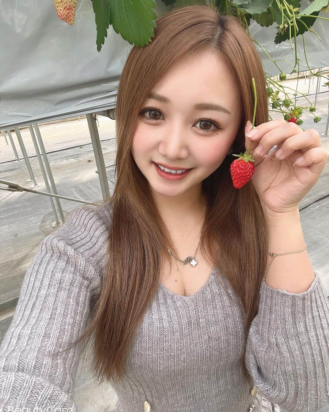 あゆぽよのインスタグラム：「🍓19個も食べたよ  #イチゴ狩り」