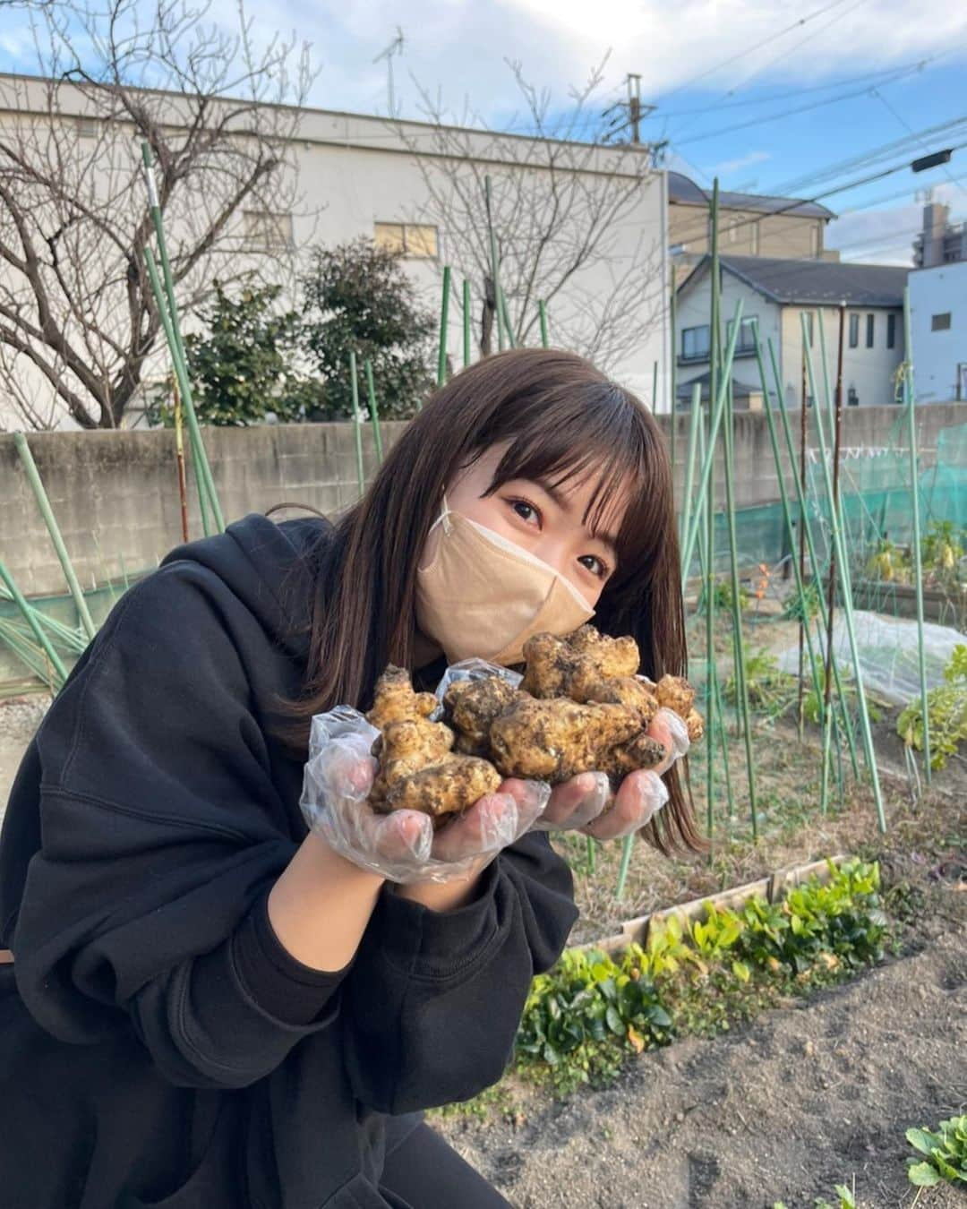 川村茉由さんのインスタグラム写真 - (川村茉由Instagram)「農業体験👩‍🌾してきました！！  芽キャベツってこんなふうに なってたの知らなかった😳🥬 (１枚目)  芽キャベツとホタルイカの パスタ🍝好きなんだよな〜🌼  春だな〜🌸  ２枚目はカラフルなにんじん🥕 ３枚目は菊芋🤤  収穫楽しい！ 植えるところから やってみたくなる🤩  #農業 #農業女子 #農業体験 #野菜 #無農薬野菜 #芽キャベツ #人参 #菊芋」2月4日 13時03分 - mayupi_k