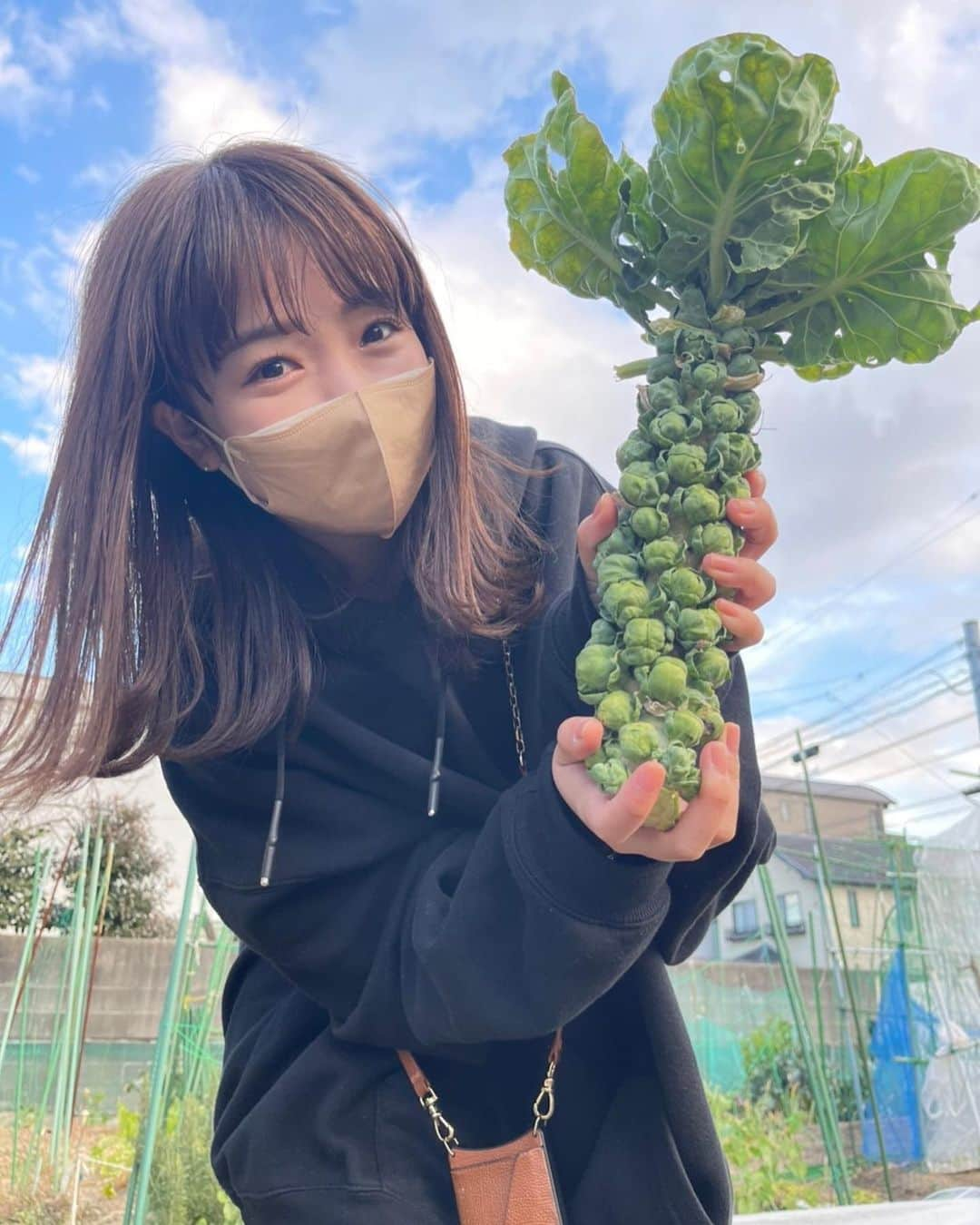 川村茉由さんのインスタグラム写真 - (川村茉由Instagram)「農業体験👩‍🌾してきました！！  芽キャベツってこんなふうに なってたの知らなかった😳🥬 (１枚目)  芽キャベツとホタルイカの パスタ🍝好きなんだよな〜🌼  春だな〜🌸  ２枚目はカラフルなにんじん🥕 ３枚目は菊芋🤤  収穫楽しい！ 植えるところから やってみたくなる🤩  #農業 #農業女子 #農業体験 #野菜 #無農薬野菜 #芽キャベツ #人参 #菊芋」2月4日 13時03分 - mayupi_k