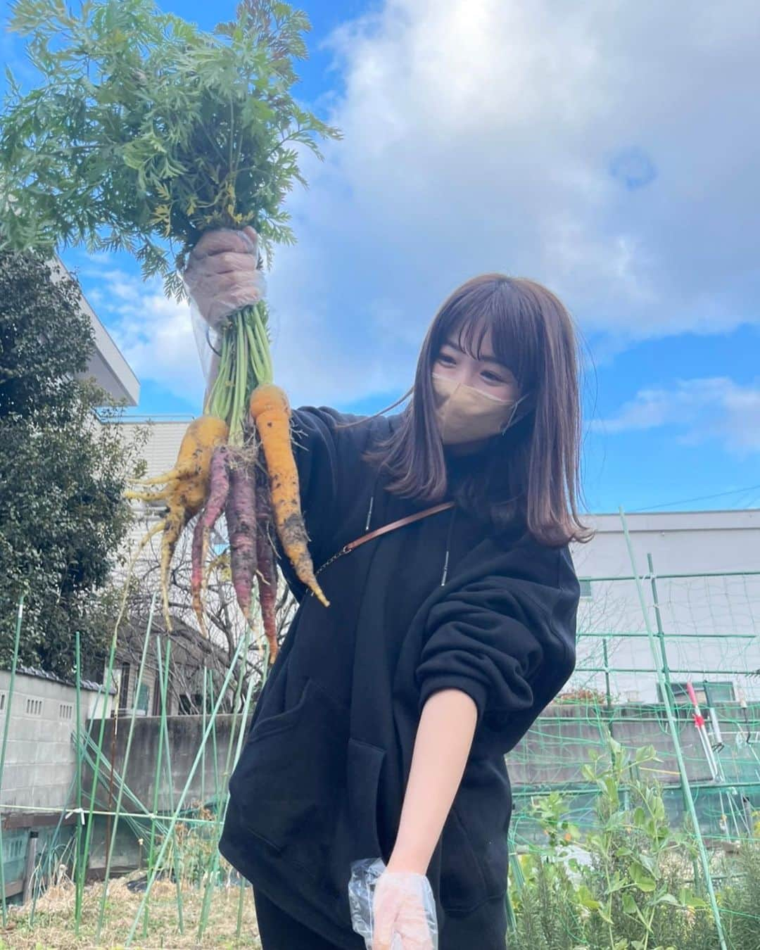 川村茉由さんのインスタグラム写真 - (川村茉由Instagram)「農業体験👩‍🌾してきました！！  芽キャベツってこんなふうに なってたの知らなかった😳🥬 (１枚目)  芽キャベツとホタルイカの パスタ🍝好きなんだよな〜🌼  春だな〜🌸  ２枚目はカラフルなにんじん🥕 ３枚目は菊芋🤤  収穫楽しい！ 植えるところから やってみたくなる🤩  #農業 #農業女子 #農業体験 #野菜 #無農薬野菜 #芽キャベツ #人参 #菊芋」2月4日 13時03分 - mayupi_k