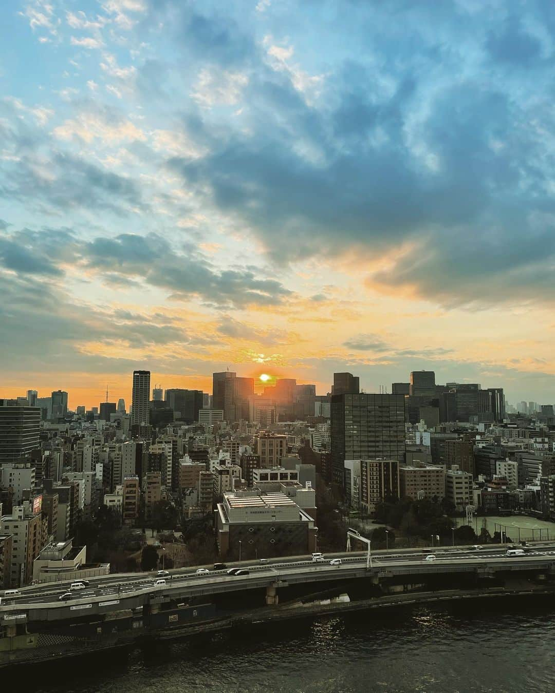 猫沢エミさんのインスタグラム写真 - (猫沢エミInstagram)「あゝ　夕暮れ。  11月のvisa取り山は精神力との勝負。 12月の手続き&家の売却山は頭脳勝負。 そして1〜2月の引っ越し山は体力的勝負。  毎日たくさん食べています。しかし体脂肪がどんどん落ちていく。ものと一緒に脂肪も断捨離。  生前遺品整理、なかなか痺れる(꒪⌓꒪)  しかし、イオちゃんが背中につけてくれた翼はどんどん軽やかになって、飛び立つ予行練習を始めています。  #東京下町時間　#猫沢エミのインターナショナル五十路ライフシフト  #イオちゃんフォーエバー　#五十路グレートトラバース」2月4日 16時53分 - necozawaemi