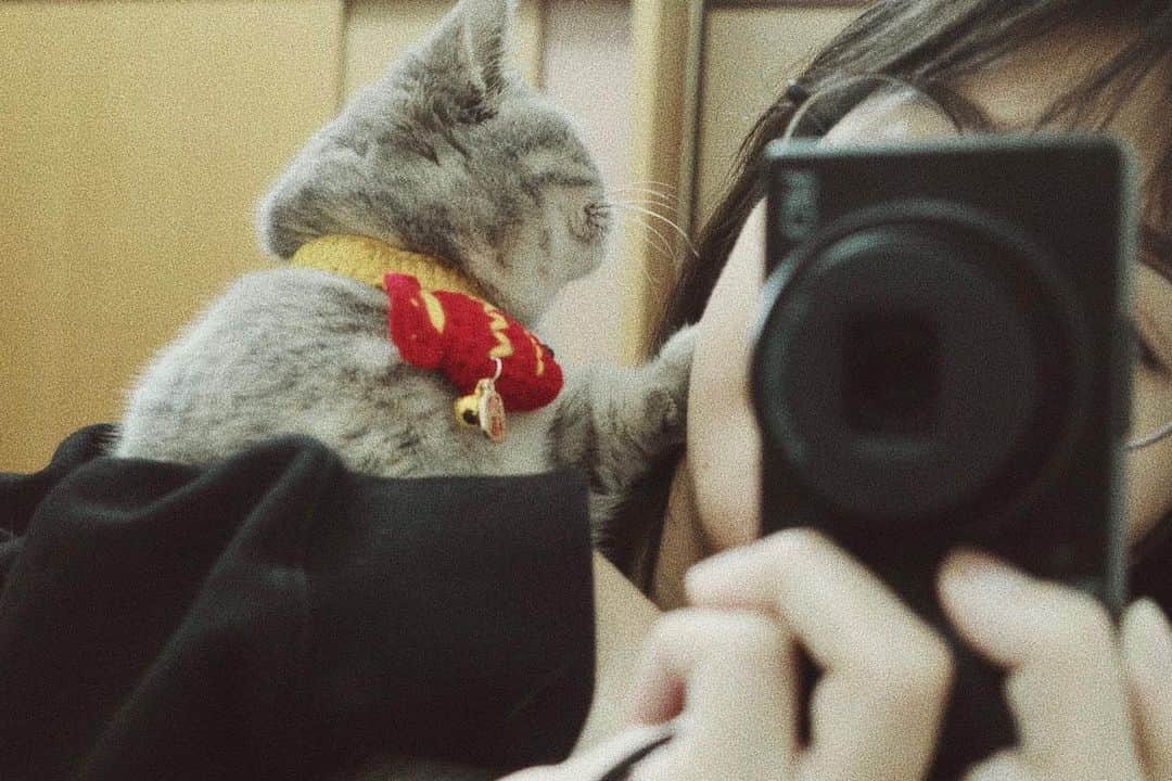 峮峮さんのインスタグラム写真 - (峮峮Instagram)「初四了Meow~🐟💕」2月4日 18時21分 - qun_04