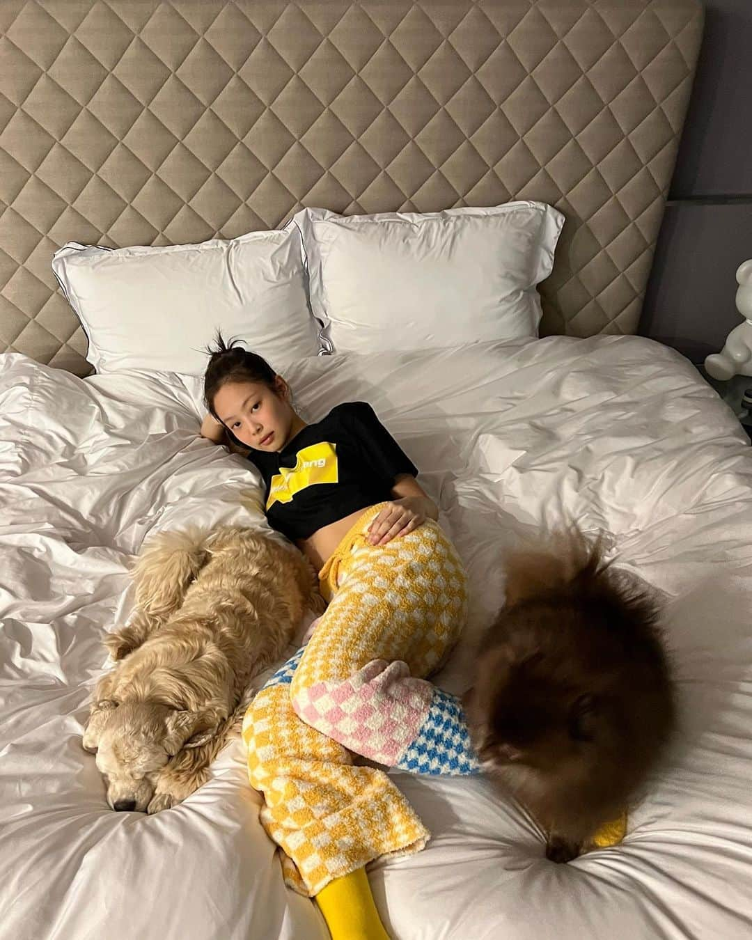 ジェニーさんのインスタグラム写真 - (ジェニーInstagram)「애기들이랑 힐링타임 🛏💤」2月4日 19時58分 - jennierubyjane