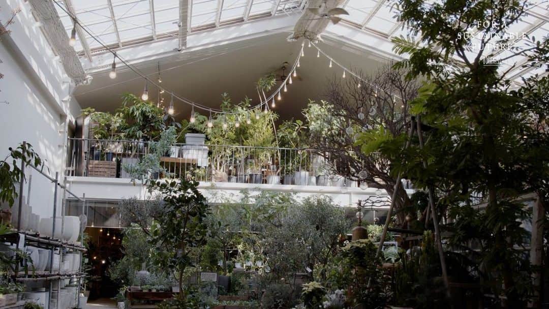 botanist officialのインスタグラム：「【植物とインテリアの店「garage」に息づく、サスティナブルの精神とは】 仕事もプライベートも、サスティナブルを追求する方へのインタビューシリーズ。 今回は、愛知県豊橋市を中心に植物とインテリアの「garage」を経営する、二村昌彦さんにお話を伺いました✍️ ⠀⠀ 「garage」の特徴となっているのが、廃材などを活かしたおしゃれなディスプレイや内装。 ⠀⠀ 例えば、木目が美しい壁や棚は、工事現場の足場板をリメイクしたもの。普通は処分されるところを譲ってもらい、二村さんらスタッフ自らが作り上げました。 ⠀⠀ パイプを組んだようなおしゃれな什器も、元は錆びて使い物にならなくなった管。捨てられかけていたのをもらって、同じく自分たちで組み合わせたそうです。 ⠀⠀ 廃材に新たな命を与えるgarage流のサスティナブルとは？ ⠀⠀ ▼記事詳細はこちら💡 https://bit.ly/3urussU ⠀⠀ またポータルサイト「FOR A SUSTAINABLE FUTURE 共に⽣きる未来のために、一歩踏み出す。」では、BOTANISTのサスティナブル活動を記録しています🌍🌿 ⠀⠀ ハイライト「SUSTAINABLE」リンク先から飛ぶことができます💡 是非、お楽しみください♪ ⠀⠀ #FORASUSTAINABLEFUTURE #BOTANIST #ボタニスト #botanicalbeauty」