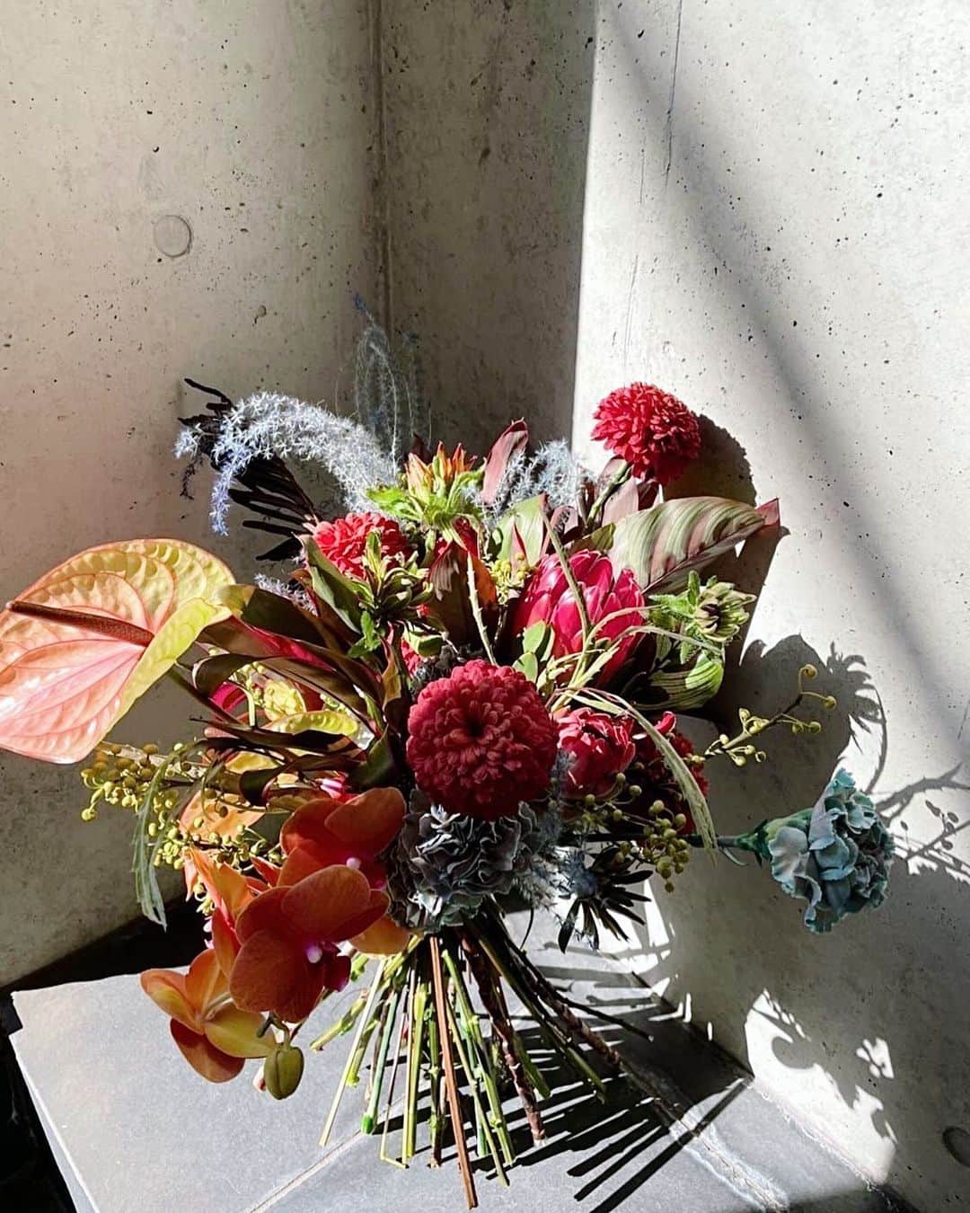 志田友美（ゆうみん）のインスタグラム：「💐✨  私のイメージに合うお花を作ってくれたの😮  サーフソングって名前の蘭とか テキーラって名前のアンスリウムとか🌼  エネルギッシュなお花たち💐　  ドライフラワーにもできる花あるからずーっと楽しめる🕊  素敵すぎて見惚れた、、   thank you❤️‍🔥 @rina_oyamada  またお願いします♡  #花束 #プロテア #サーフソング #アンスリウム #ドライフラワー #flower」