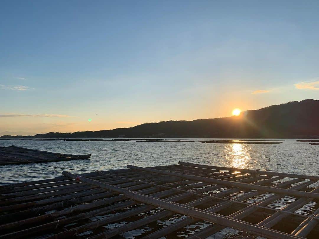 渡邊渚さんのインスタグラム写真 - (渡邊渚Instagram)「今夜のもしもツアーズは、『広島で日本一のカキづくしツアー』でした🦪 船で牡蠣筏までいって、水揚げを見学しました！ 船の上から見る朝日はとっても美しくて、感動しました！ (写真の奥に映る島が宮島です) 美味しい牡蠣を色んな食べ方で堪能でき、広島の牡蠣の魅力を改めて知りました✨  #モグライダー さん#クジライダー さんたち #朝一#朝日#船#牡蠣#牡蠣筏#宮島#もしもツアーズ#もしツア#広島#安芸の宮島#生牡蠣」2月5日 19時12分 - watanabenagisa_