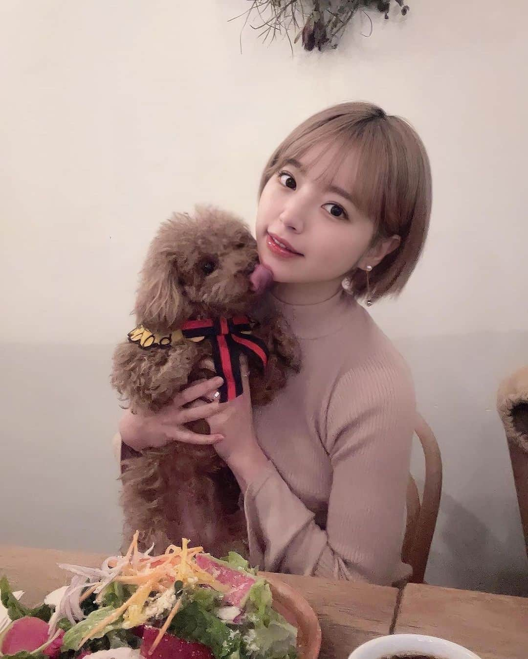 小森ほたるさんのインスタグラム写真 - (小森ほたるInstagram)「おしゅとランチ🍽🐶💕 店内わんちゃんOKなお店 増えてて嬉しい(⑉･̆-･̆⑉)💘」2月5日 19時47分 - hotaru_komori