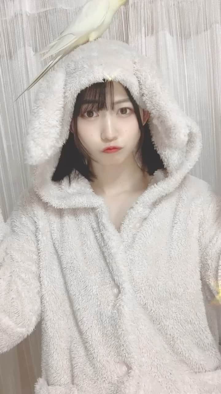 空野青空のインスタグラム：「はろりんてょ〜！！( ᐡ｡• ·̫ •｡ᐡ ) ぴょこぴょこ♡♡♡  たくさん寝れて全回復した気がするぅ😼 でも身体がばきばきなので、マッサージにゆきたいです。  ほんとは月イチくらいで通いたいのに、気がついたら半年に1回くらいしかゆけてない😿ひきこもりなので、おうち時間死守しちゃう。。スキマ時間でゆけるよう考えよ〜(>_>).｡oஇ  ぴょこ₍ᐢ⸝⸝› ‹⸝⸝ᐢ₎  #あおにゃん #空野青空 #パジャマ #ルームウェア #もふもふ動画  #ケモ耳 #うさ耳 #うさぎのいる暮らし  #オカメインコ #頭上注意  #ツインテール #ツインテールの日  #え #でんぱ組.inc #dempagumi  #ARCANAPROJECT」