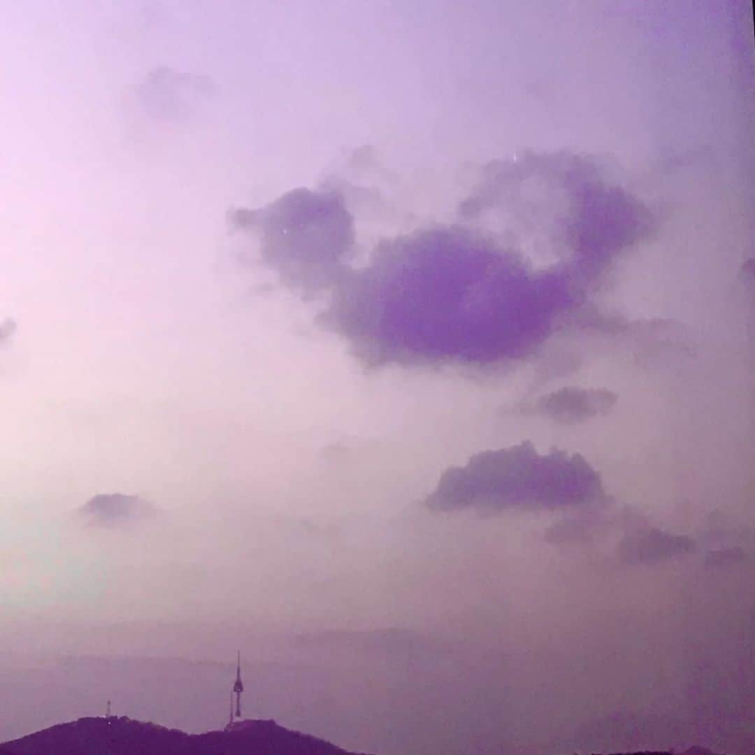 Vさんのインスタグラム写真 - (VInstagram)「Purple」2月6日 1時08分 - thv