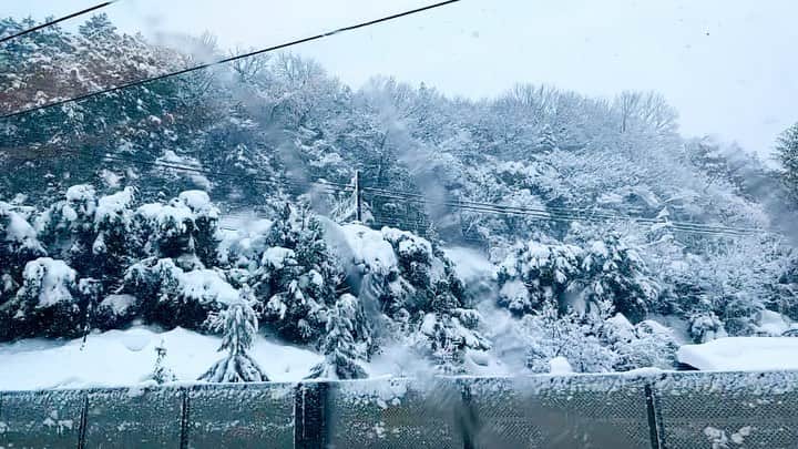世良公則のインスタグラム：「・・・・・・  京都に向かう車窓から  これは寒いぞ！  と覚悟を決める  ・・・・・・  #世良公則 #masanorisera #japaneseartist #japaneseculture #snow #雪景色 #真っ白な世界 #shinkansen #外は雪」