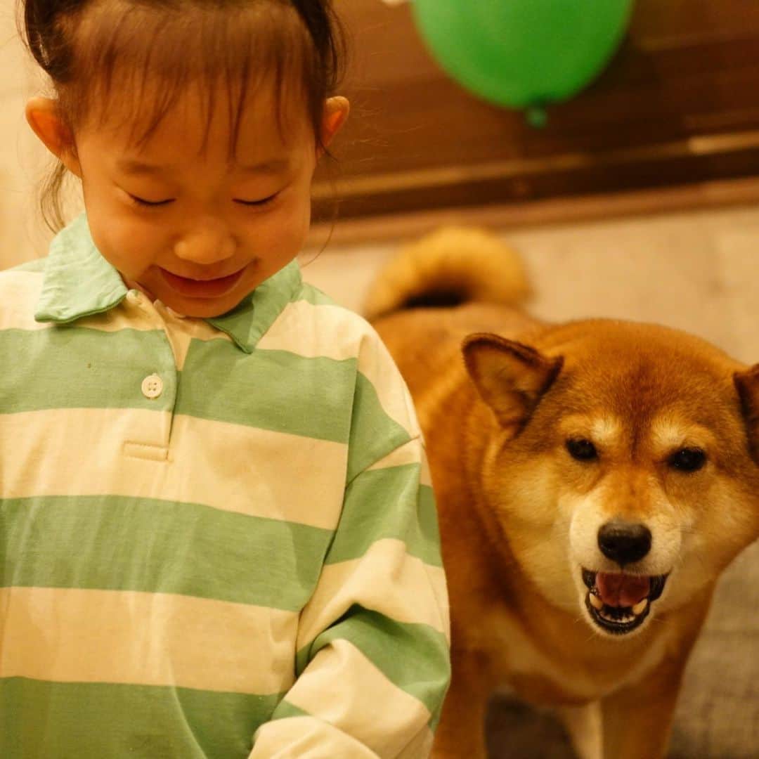 尾形貴弘さんのインスタグラム写真 - (尾形貴弘Instagram)「ミク6歳の誕生日 家族でお祝いできた！ 最高の誕生日！！」2月6日 22時24分 - miku3_miku_9