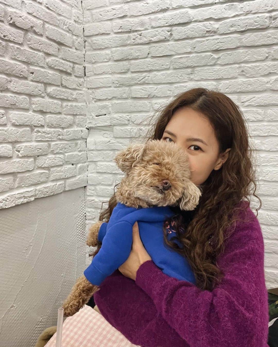 キム・ウンジョンのインスタグラム：「2월이 되어 콜라는 8살이 되었다 🐯」