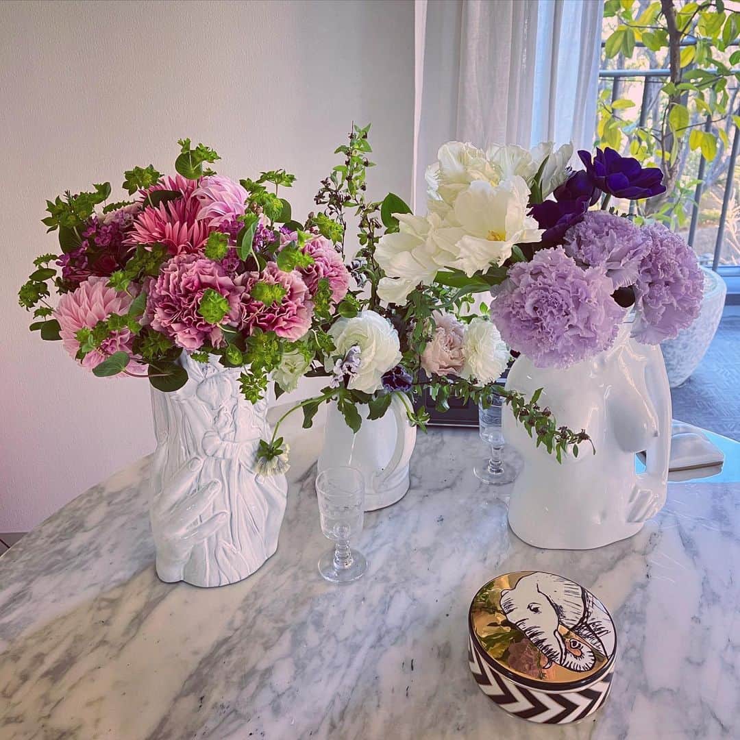 辻直子さんのインスタグラム写真 - (辻直子Instagram)「#こんにちは🌞#夜にみても朝の光で見てもきれいです#ながめのおすそわけ#どこに飾ろう#元気にがんばってうまくいってますように♡👌🏻  今日の夜は20:00から @drobe_official とインスタライブをやらせていただきます📺  🟡今回DROBEとの企画で、 抽選で10名の方に私がスタイリングさせていただきます♡  🟡詳しくは今日のインスタライブや @drobe_official の方をチェックして下さいね✔️  @drobe_official って知ってます??まだ知らない方もたくさんいらっしゃると思うので、DROBEの方からサービス内容の説明や私のスタイリングについてなどなどをお話します  今日は何を着ようかな☺️」2月7日 11時26分 - naoko.ts