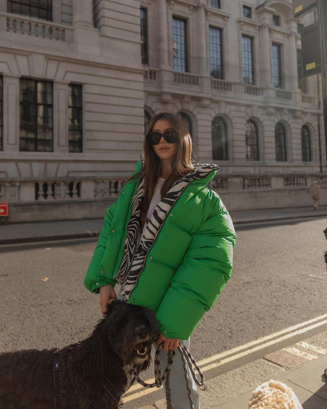 エレノア・カルダーのインスタグラム：「Dog walk anyone? 🐸🦓🐕‍🦺 In @richardquinn via @netaporter @the_attico @celine 📷 @lydiaxcollins」