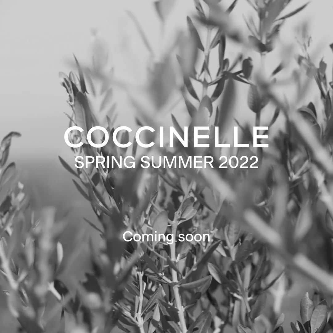 コチネレのインスタグラム：「A powerful and genuine change of perspective that points straight to the heart: Coccinelle Advertising Campaign Summer 22.   Stay tuned.  #Coccinelle #Summer22 #Comingsoon」