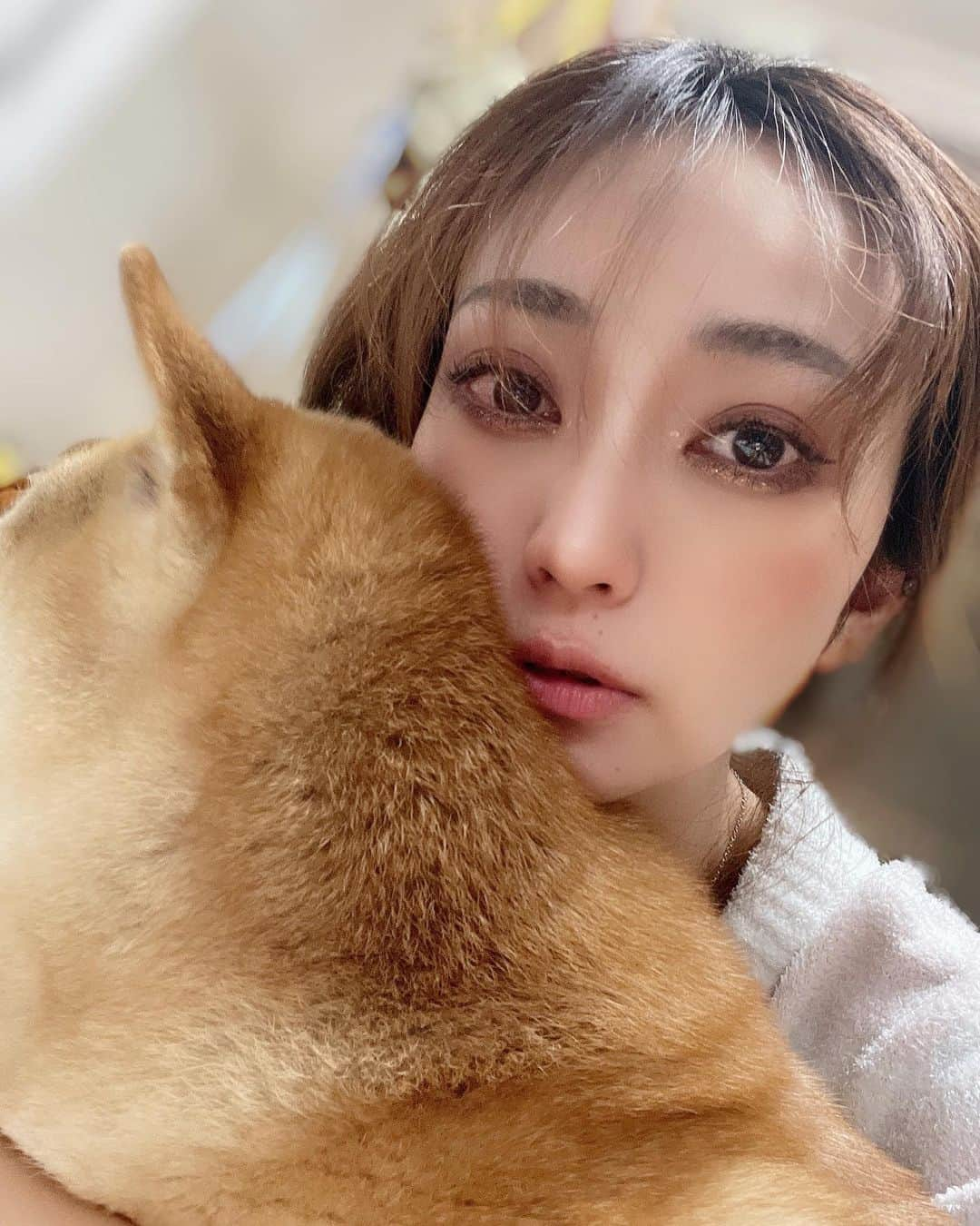 優姫ゆいなさんのインスタグラム写真 - (優姫ゆいなInstagram)「. もふもふのいる生活🐶💓 #柴犬 #柴犬のいる暮らし . .  #東京#六本木#新宿#池袋#歌舞伎町#名古屋#栄#錦#岐阜県#岐阜市#柳ヶ瀬#多治見市#キャバクラ#キャバ嬢#ファッション#最高の休日」2月8日 1時20分 - yuina_az