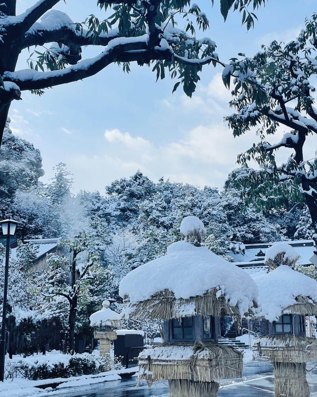 西内ひろさんのインスタグラム写真 - (西内ひろInstagram)「やっぱり美しいなぁ、雪景色☃️  タクシーの叔父様曰く 今期最後の雪なんだとか🙏  綺麗な雪景色を見られてラッキー⛄️  いつも綺麗な景色やベストなタイミングに出逢える奇跡✨ そう思い込んでいます😂🙏  #雪景色 #界加賀 #加賀温泉 #温泉 #石川 #金沢 #旅行 #旅が好きな人と繋がりたい」2月8日 7時33分 - 0214hiro