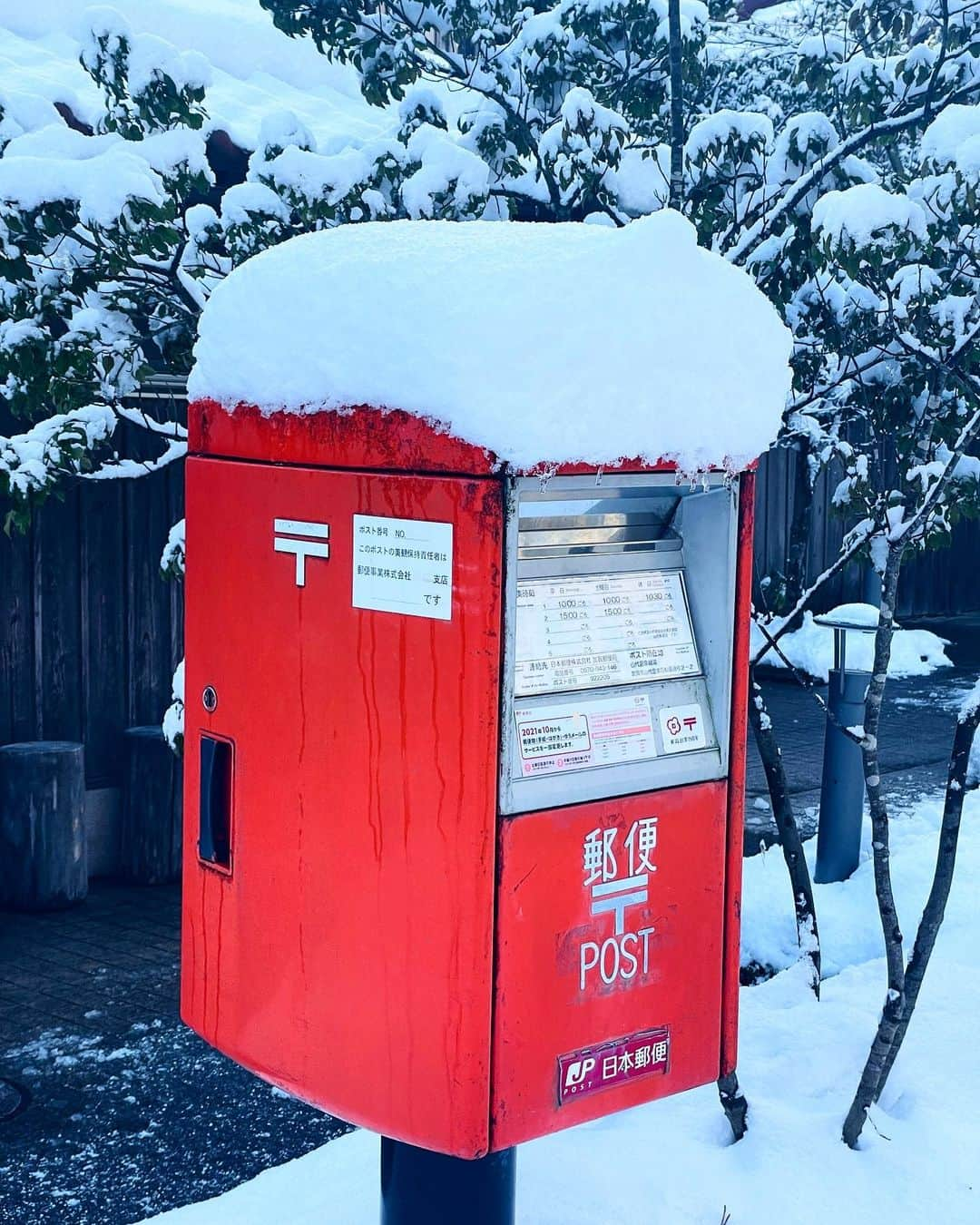 西内ひろさんのインスタグラム写真 - (西内ひろInstagram)「やっぱり美しいなぁ、雪景色☃️  タクシーの叔父様曰く 今期最後の雪なんだとか🙏  綺麗な雪景色を見られてラッキー⛄️  いつも綺麗な景色やベストなタイミングに出逢える奇跡✨ そう思い込んでいます😂🙏  #雪景色 #界加賀 #加賀温泉 #温泉 #石川 #金沢 #旅行 #旅が好きな人と繋がりたい」2月8日 7時33分 - 0214hiro