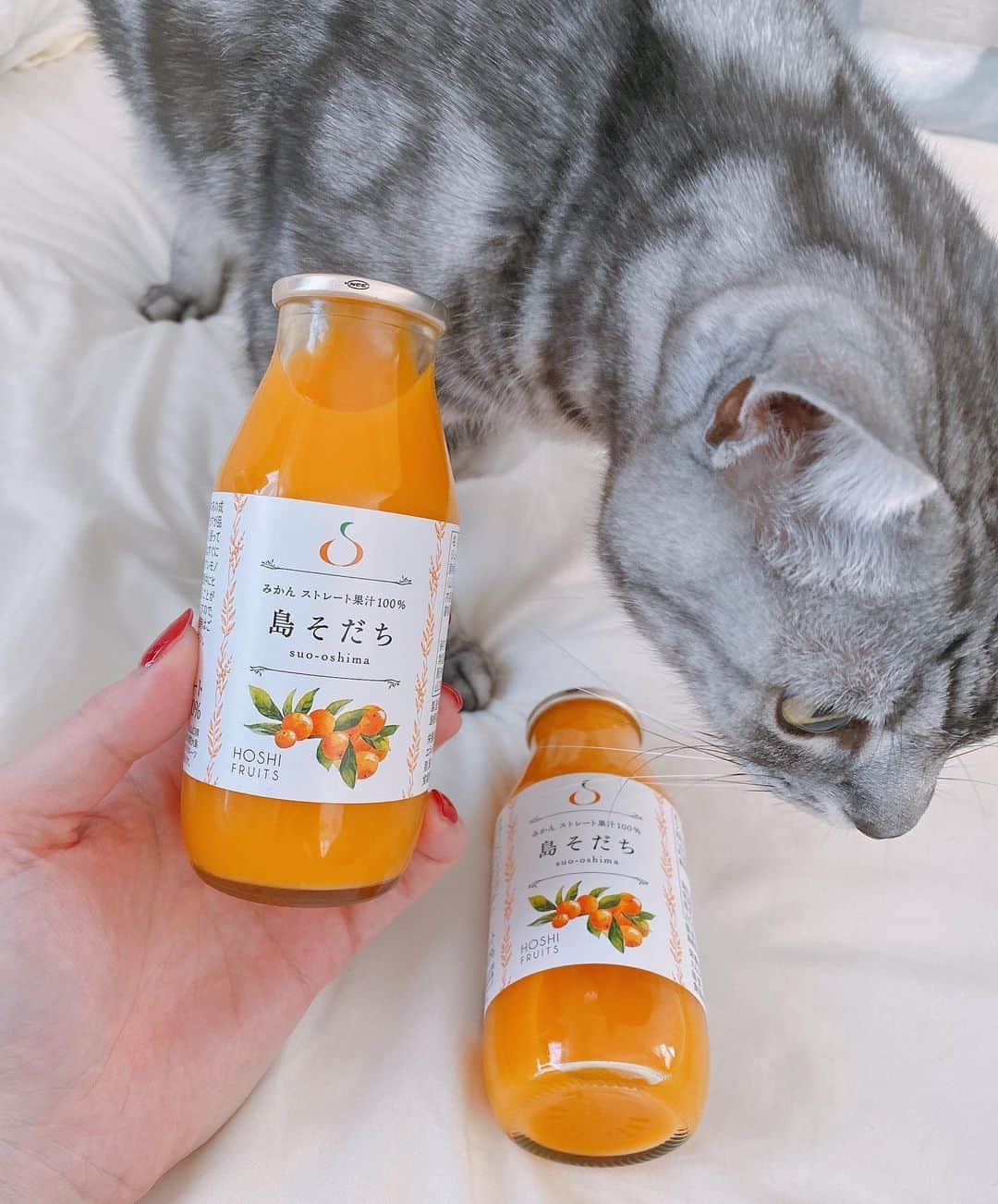 杉本有美のインスタグラム