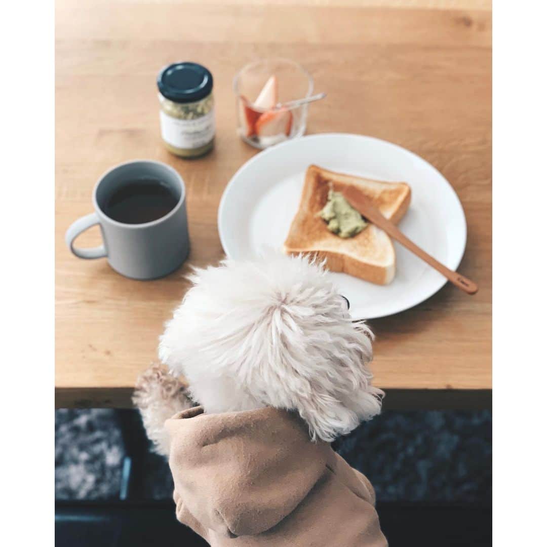 mizuのインスタグラム：「DEAN&DELUCAのピスタチオクリームが美味しくてびっくり♡」