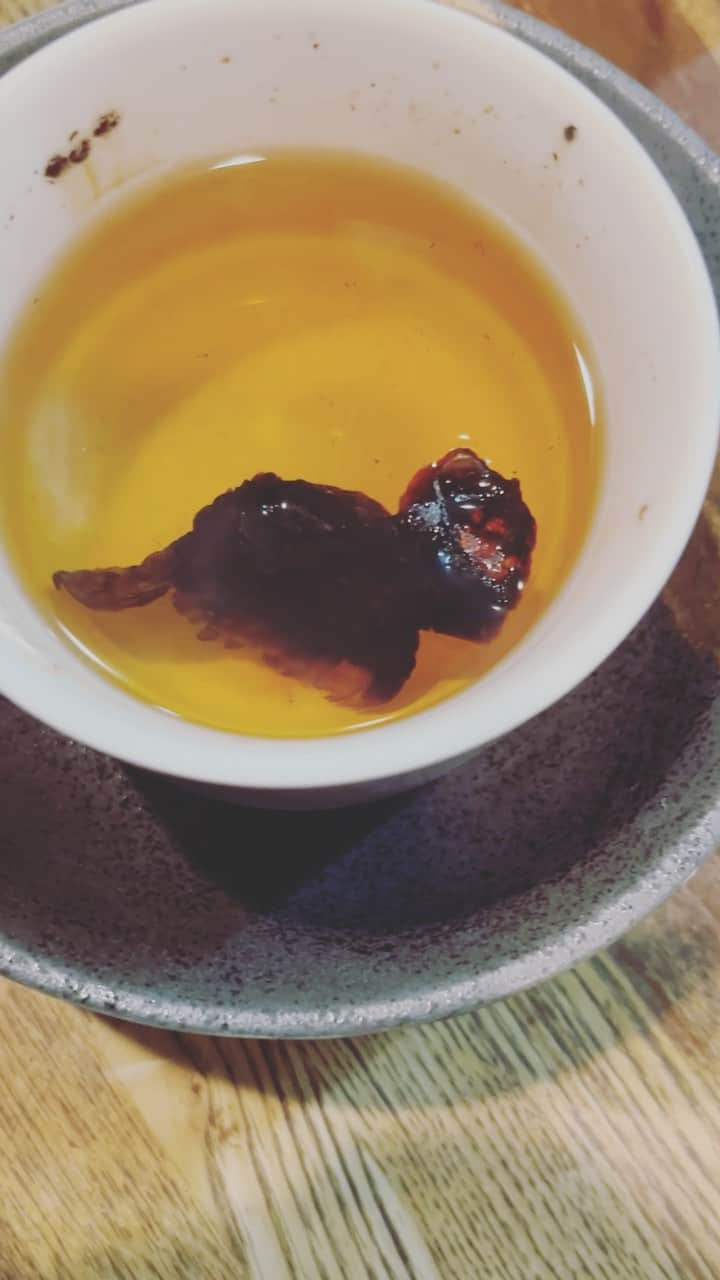 ちなり（高橋知成）のインスタグラム：「冬の醍醐味ひれ酒🍶🔥うめめ。 #ひれ酒」