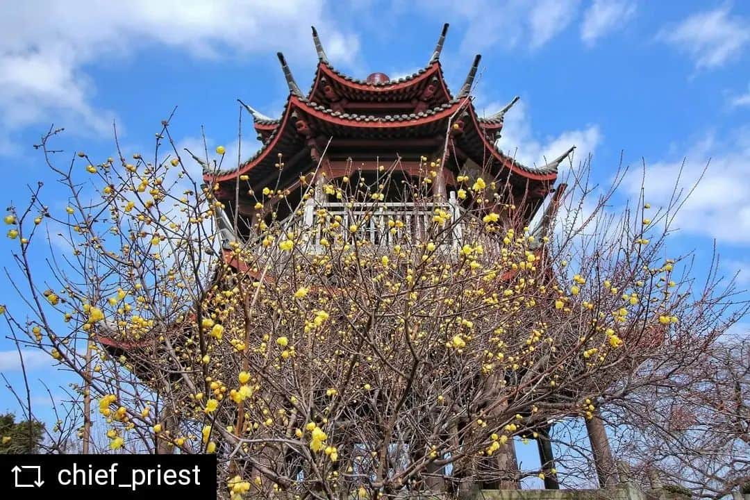 兵庫県のインスタグラム