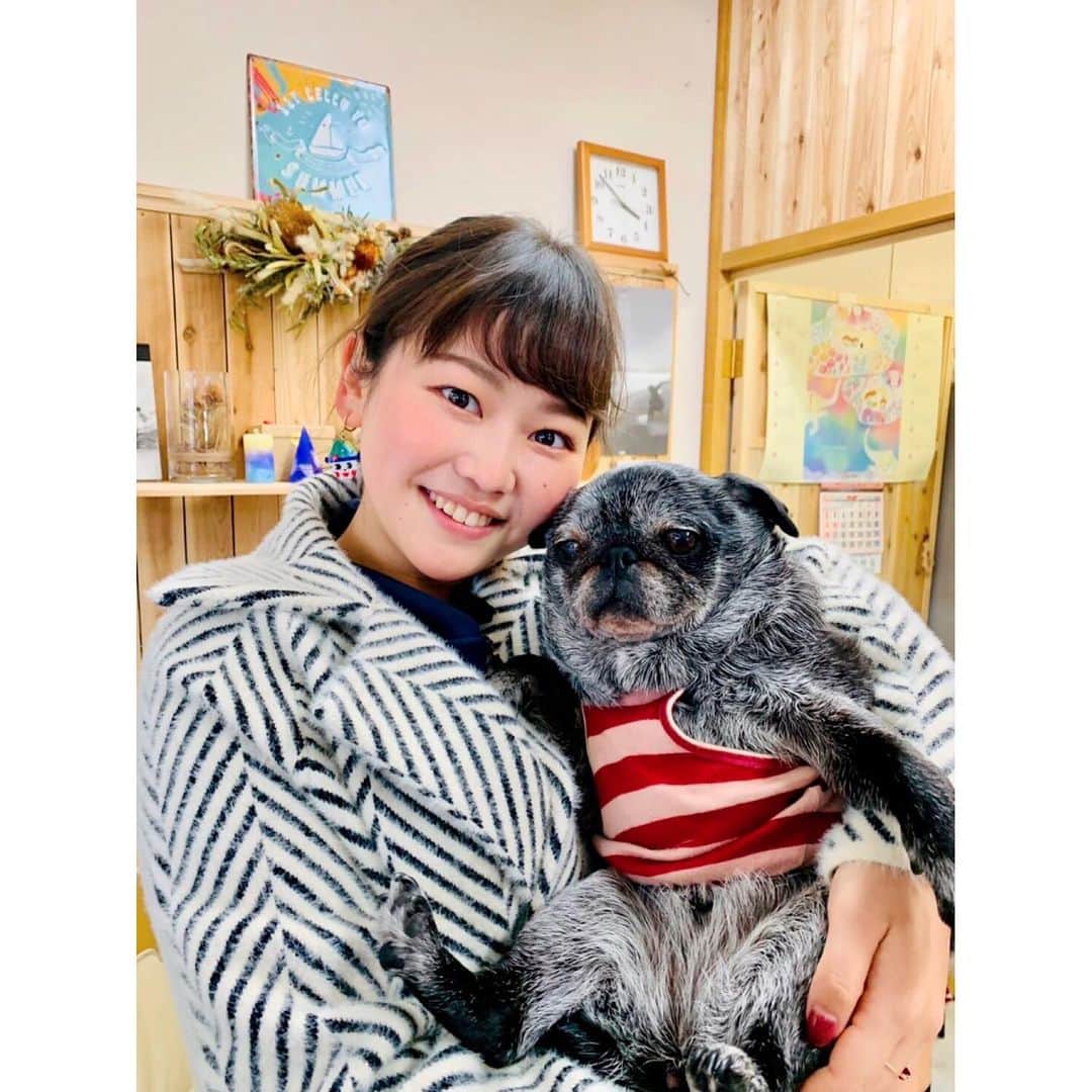 宇田川紗稚のインスタグラム：「.癒し🐶❤️ ⁡ 先日つのぴょんの取材で、uniちゃんに癒されました！ とっても大人しい良い子で、撮影にもずっと協力してくれました♡ ⁡ 犬が大好きですが、飼ったことがないので こうやって抱っこさせてくれることがとっても嬉しくて♡ ⁡ また会いに行くね！！ ⁡ 可愛いuniちゃんと美味しいご飯に癒された取材の模様は、来週14日（月）18:55〜のつのぴょんを是非ご覧ください♪ ⁡ ⁡ #つのぴょん #uniちゃん #コートの色と被っちゃった #雲丹も大好きです #宮崎県 #都農町 #つのぴょん見てね #miyazaki #tsuno ⁡」