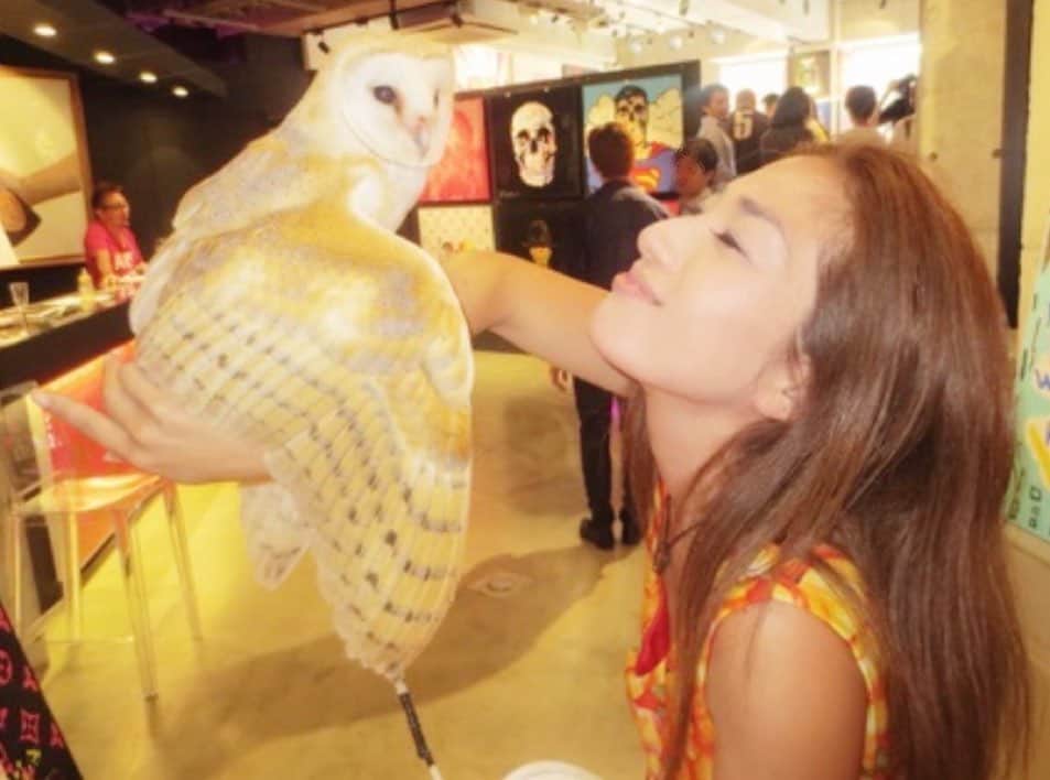 のインスタグラム：「#wildlifesymposium  #🦉 #owl #bird #lovebird #loveallanimals  #thx #loveall #🌎  🦉🧤⭕️ always necessary. 🦉✋✖︎🙏🌎  ※🦉 #🧤 #🥊 #⭕️  #🦉 #✋ #✖︎  #ふれあい動物園  #人生は全て自己責任」