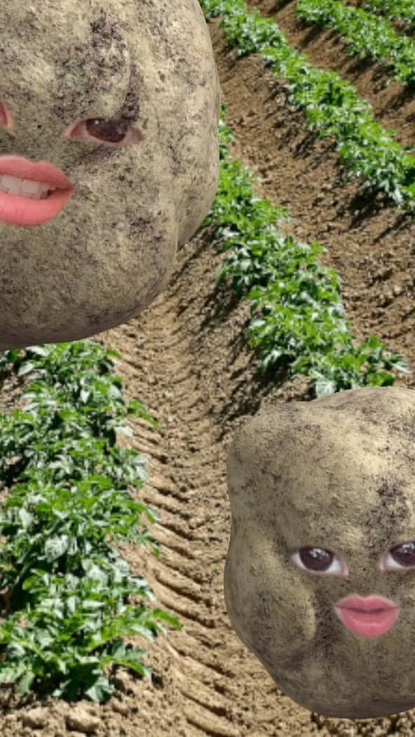 ウェイ・ルーシュエンのインスタグラム：「今天愛唱歌的馬鈴薯🥔一直被干擾⋯ #等小馬鈴薯開學再說吧」