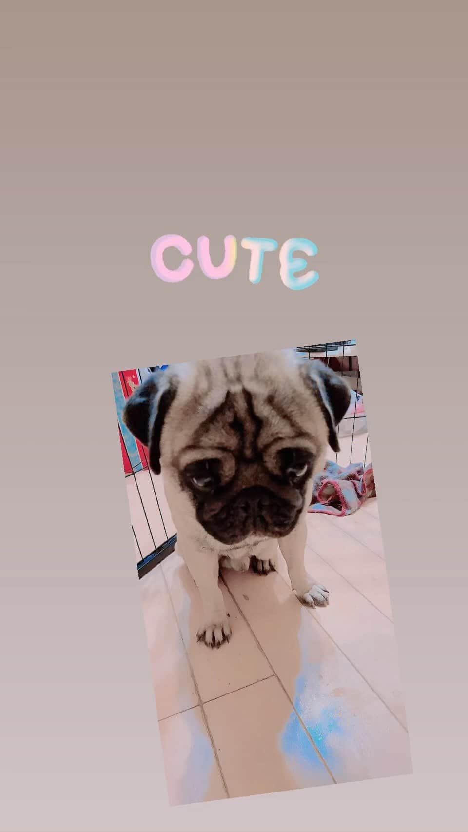 沢田麗奈のインスタグラム