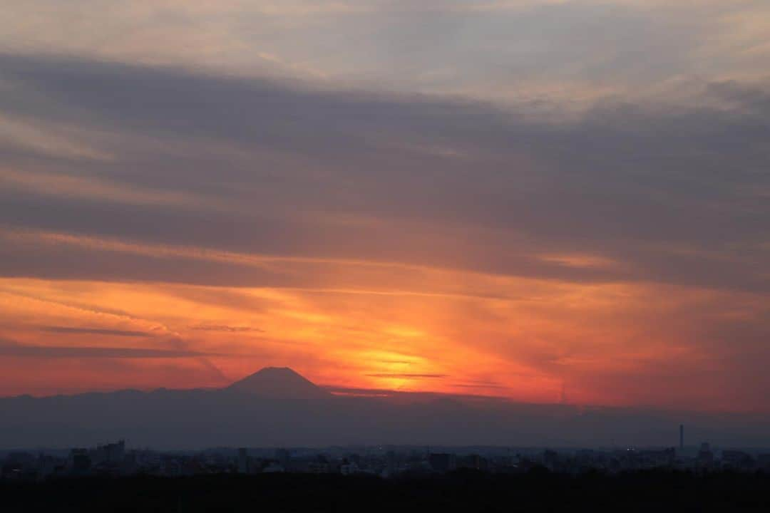 坂元美香さんのインスタグラム写真 - (坂元美香Instagram)「today's sunset 2022/02/09 17:10  今日は優しい色でした😌 泳ぎに行ってきます！🏊‍♀️  #sunsetphotobymikasakamoto  #sunset #夕陽 #夕日 #黄昏時 #夕焼け #tokyosky #やっぱり空が好き #イマソラ  #canonEOSKiss8i」2月9日 17時46分 - mika_saka