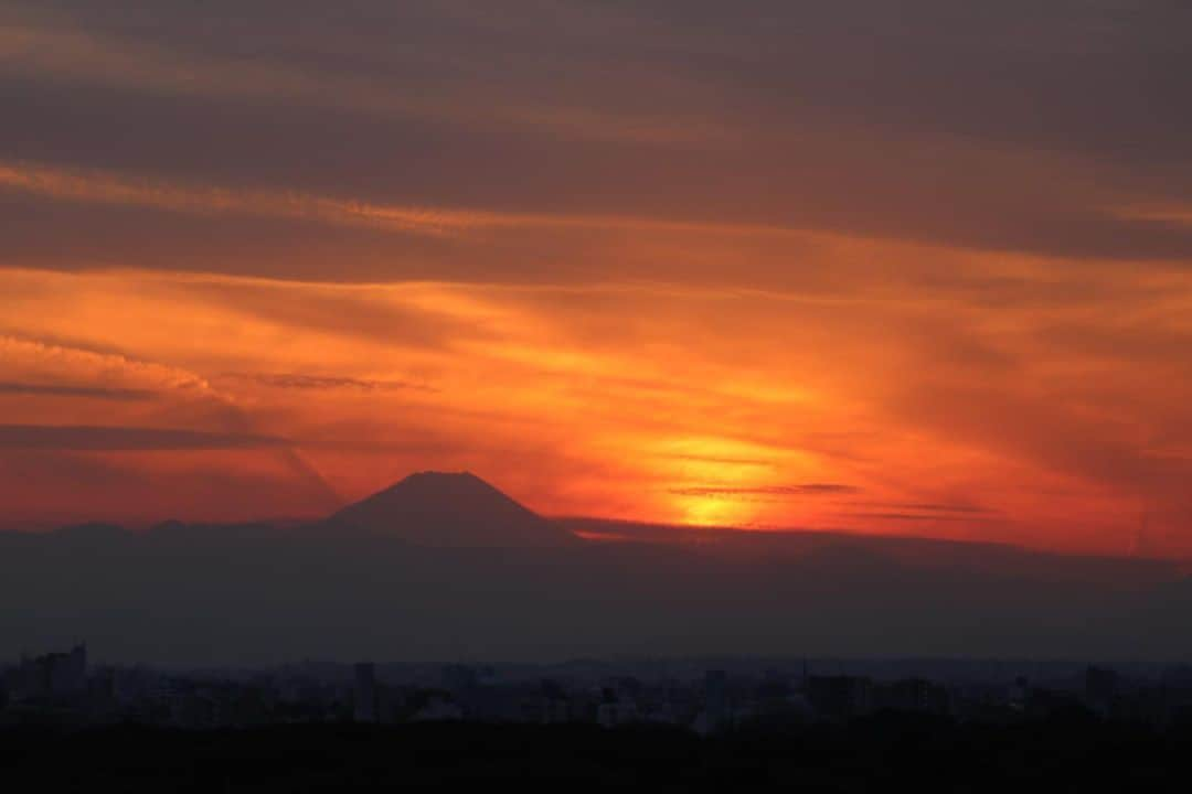 坂元美香さんのインスタグラム写真 - (坂元美香Instagram)「today's sunset 2022/02/09 17:10  今日は優しい色でした😌 泳ぎに行ってきます！🏊‍♀️  #sunsetphotobymikasakamoto  #sunset #夕陽 #夕日 #黄昏時 #夕焼け #tokyosky #やっぱり空が好き #イマソラ  #canonEOSKiss8i」2月9日 17時46分 - mika_saka