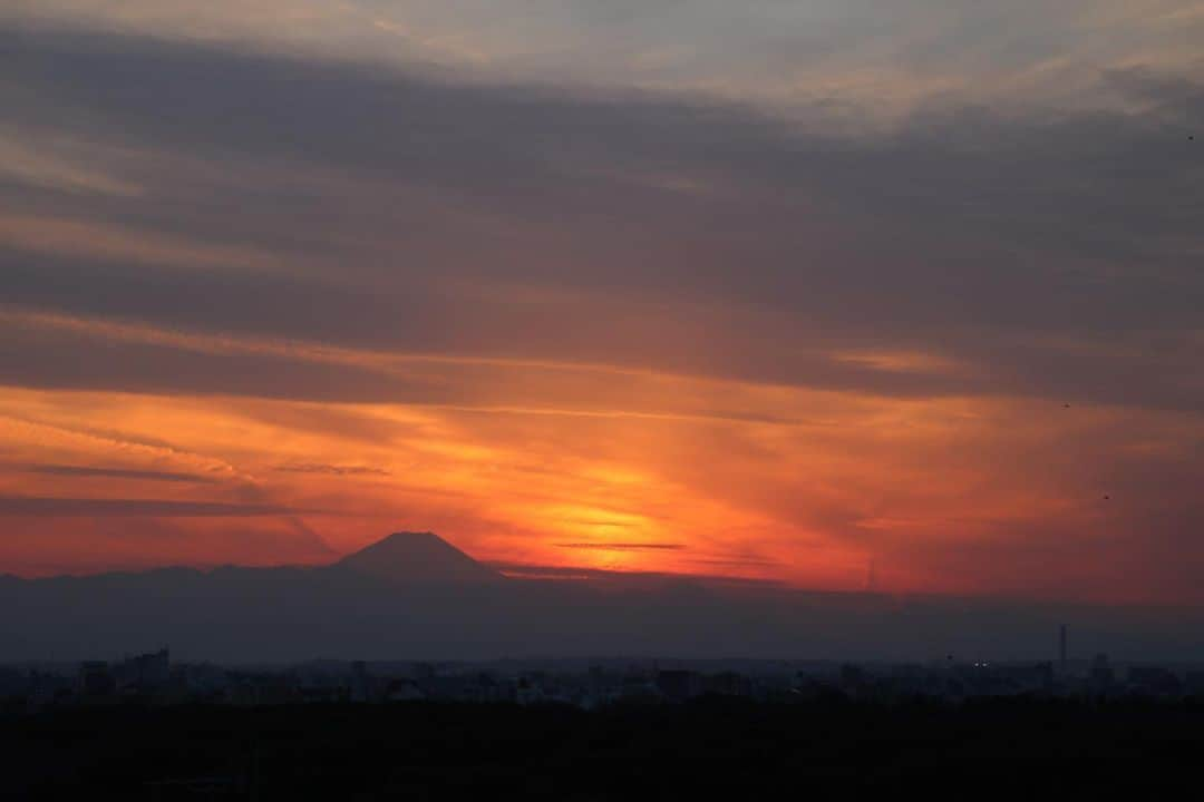 坂元美香さんのインスタグラム写真 - (坂元美香Instagram)「today's sunset 2022/02/09 17:10  今日は優しい色でした😌 泳ぎに行ってきます！🏊‍♀️  #sunsetphotobymikasakamoto  #sunset #夕陽 #夕日 #黄昏時 #夕焼け #tokyosky #やっぱり空が好き #イマソラ  #canonEOSKiss8i」2月9日 17時46分 - mika_saka