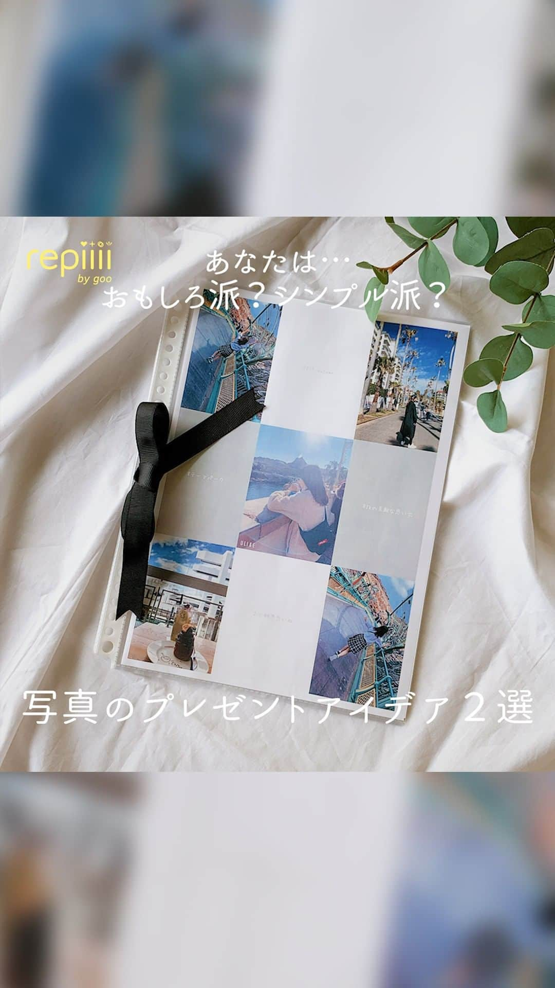 レピーのインスタグラム