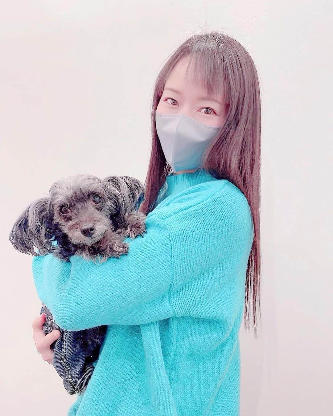 のインスタグラム：「💇🏻‍♀️ 朝イチで原宿VIRGOさんで 髪の毛メンテナンスしてもらいました✨  私の髪見て絶句するほど💦（笑） クセも痛みもやばかったのだ〜😂  ツルツルサラサラにしてもらいました✨  いつもありがとうございます💕  今日のシェラは一段と可愛かった〜😍💓  @hair_virgo  #virgo  #原宿 #美容室  #beautysalon  #hair  #hairsalon  #黒髪ロング  #地毛  #シェラ あったかい💓 #ロングヘア 長い方が好きと言われたのでどこまでイケるか伸ばします（誰に？笑）   #吉山りさ #モデル #free  #フリーランス女子  #美容 #アラフォーママ  #看板犬  #dog  #animal 大好き💕」