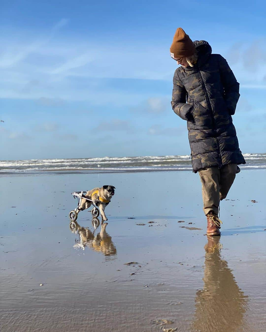 スヴェア・ベルリーのインスタグラム：「Beach days with the family are the best days✨  Also @jennyreyhair camera skills really shining over here 🥰  #winterbeachday #mentalhealthday #pugsonthebeach」