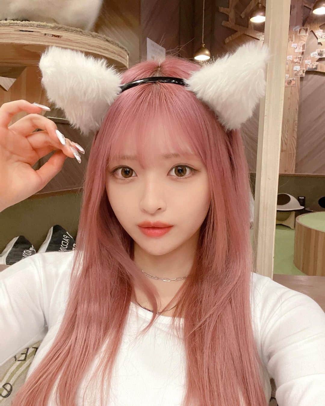 鯖のインスタグラム：「幸せ空間でした…🐈 ﾗｸﾞﾄﾞｰﾙちゃんに惚れ惚れしてしまった」