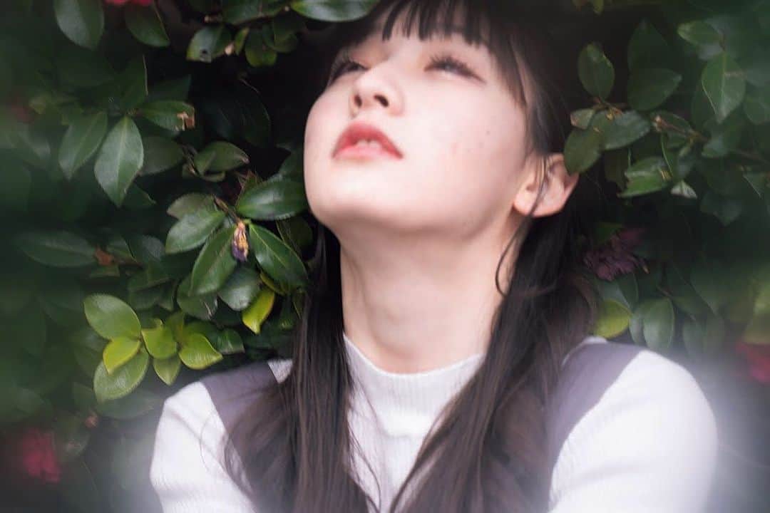 尾野寺みさのインスタグラム：「⁡ ⁡ ⁡ 花言葉は気取らない優美さ ⁡ ⁡ ⁡ #椿」