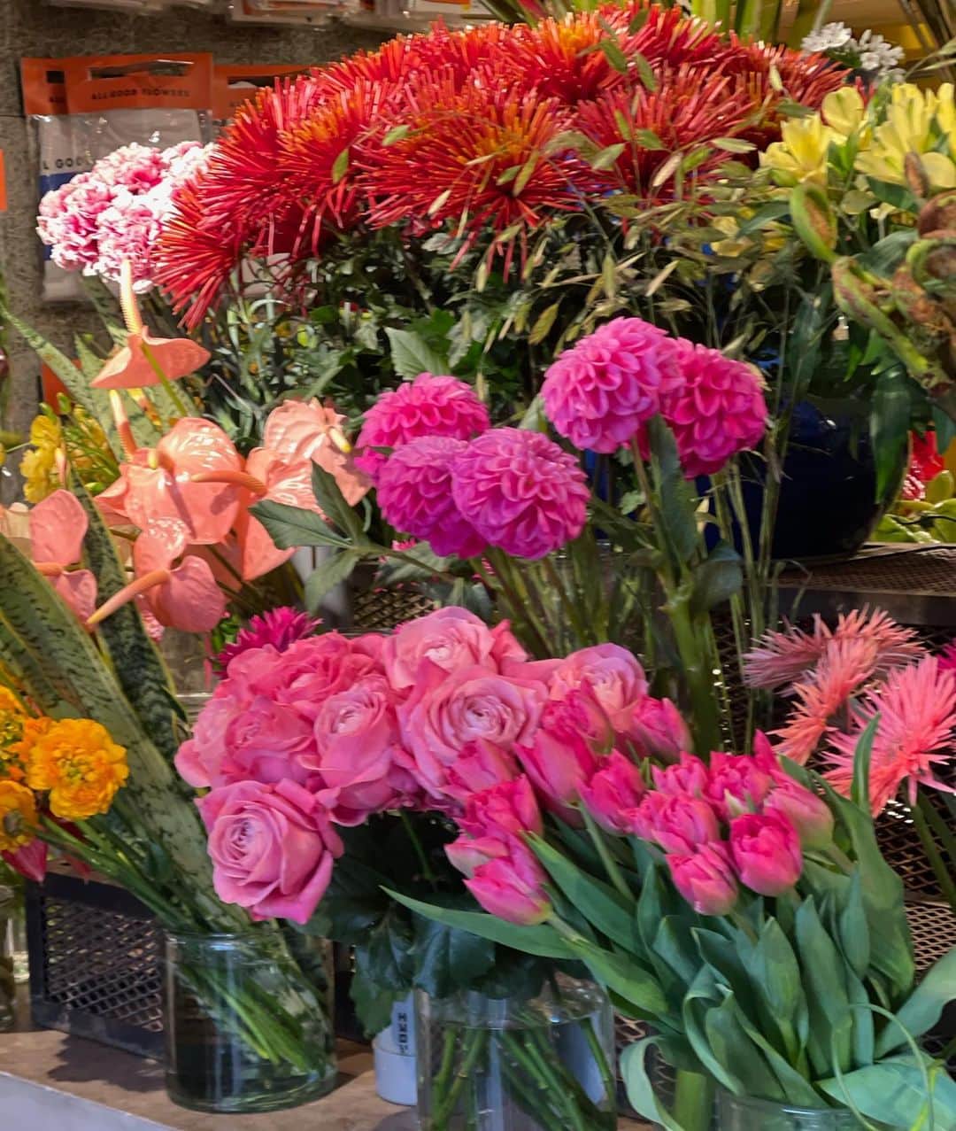 木本泉さんのインスタグラム写真 - (木本泉Instagram)「- 可愛いお花に美味しいチョコ❤️  この時期は美味しいチョコが沢山食べられるので自分用についつい買ってしまう😋  #flower#お花#allgoodflowers#乃木坂」2月10日 10時42分 - izumikimoto