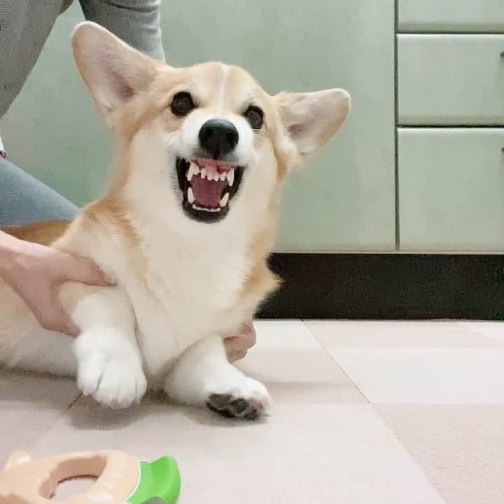 さゆりのインスタグラム