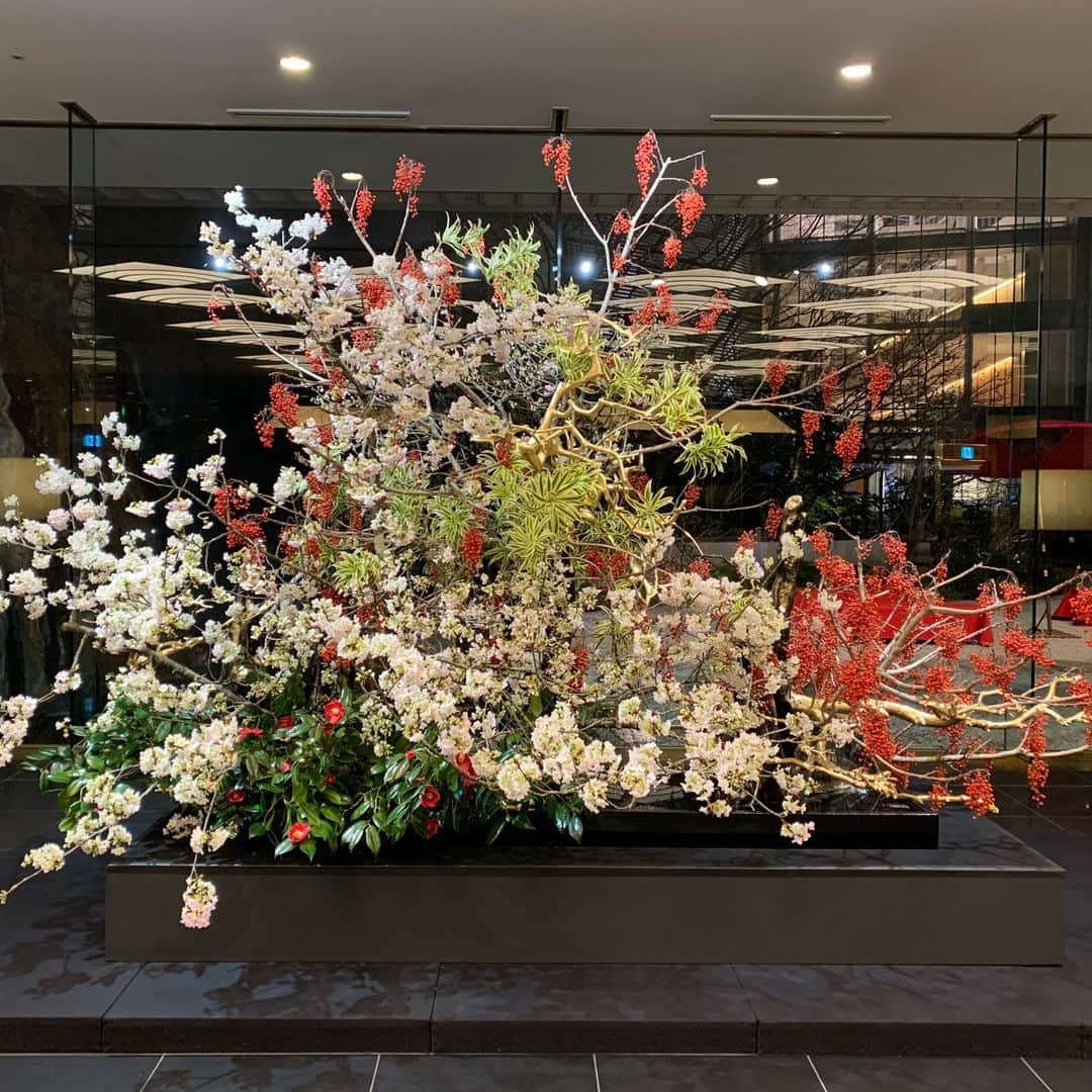 小原宏貴さんのインスタグラム写真 - (小原宏貴Instagram)「三連休を前にホテル雅叙園東京様に展示中の河津桜が満開を迎えています🌸 テレビ朝日の今朝のニュース番組の中でもご紹介いただきました。  廃棄される運命だった花材たちに花開く場所を快くお貸しくださった雅叙園様に改めて感謝いたします。  2/13(日)まで  東京は今日は雪のようですが、もうすぐそこの春の気配をお届けできたら幸いです。 お越しになる際は足元ご注意ください。   #雅叙園　 #小原流　 #sdgs  #河津桜　 #フラワーロス　 #小原宏貴 #花のある暮らし #花好きの人と繋がりたい  #春の花」2月10日 12時04分 - ohararyu_ohara.hiroki