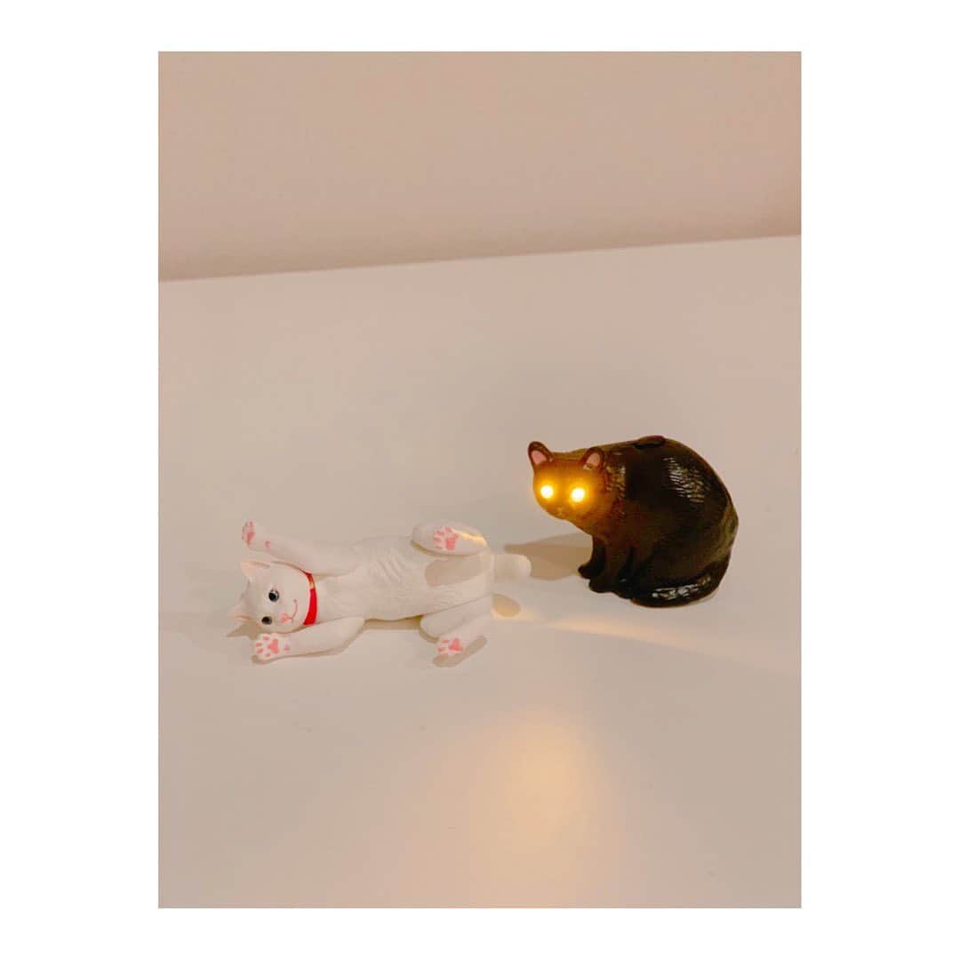 吉岡里帆さんのインスタグラム写真 - (吉岡里帆Instagram)「最近貰ったカプセルトイがお気に入り。  光量がおもちゃのレベルじゃない。笑  #猫　#ガチャガチャ」2月10日 9時55分 - riho_yoshioka